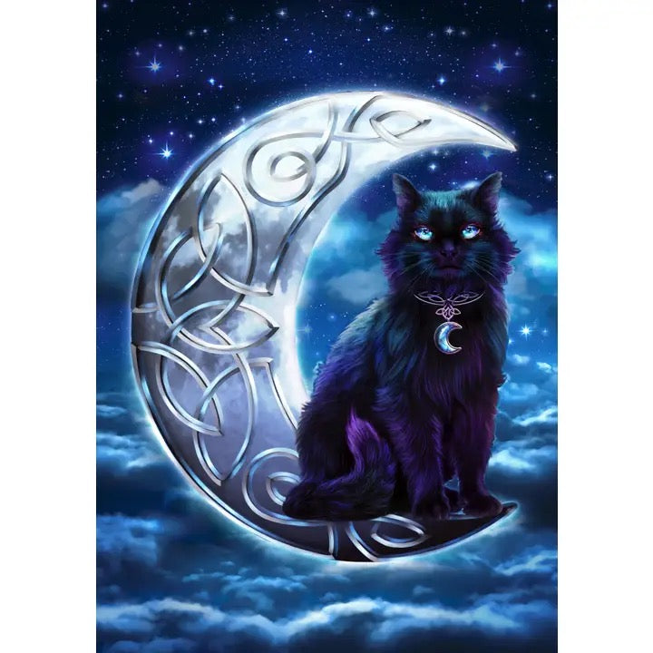 Black cat with blue eyes sitting on a silver crescent moon against a starry night sky.