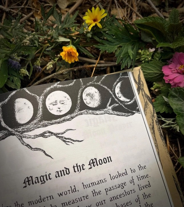 An open book spread titled "Magic and the Moon" with a black-and-white moon illustration on the page, photographed outdoors among green leaves and small yellow and pink flowers.