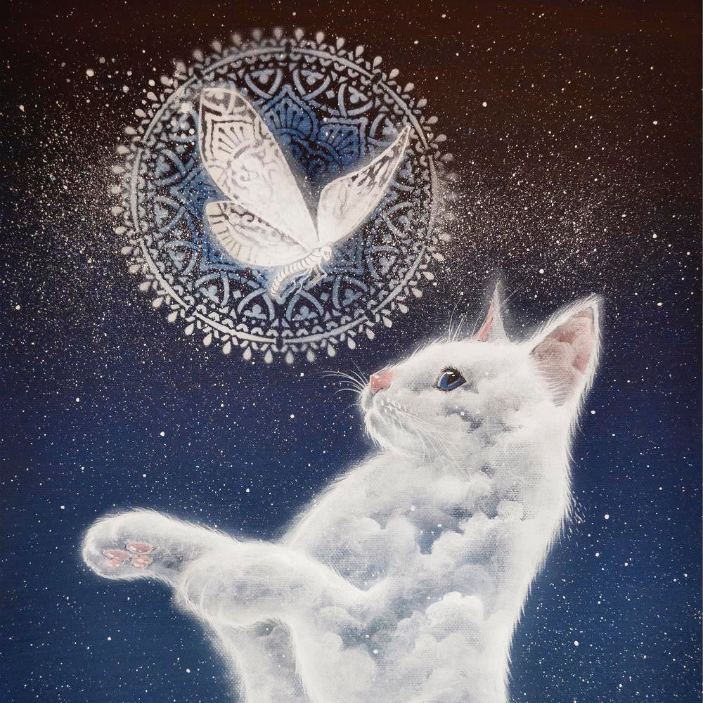 White cat looking at a mandala with a butterfly on a starry night background