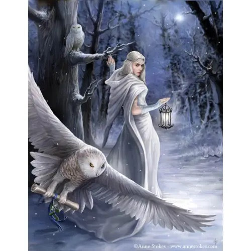 Fairy in a snowy forest with an owl and lantern, artwork by Anne Stokes.