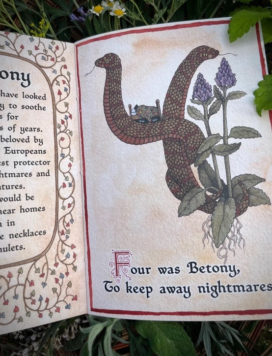 An open vintage-style book or nursery rhyme page showing an illustration of a multi-headed snake coiled around purple flowers, with printed text reading 'Four was Betony, To keep away nightmares.' The book is photographed outdoors among green leaves and flowers.