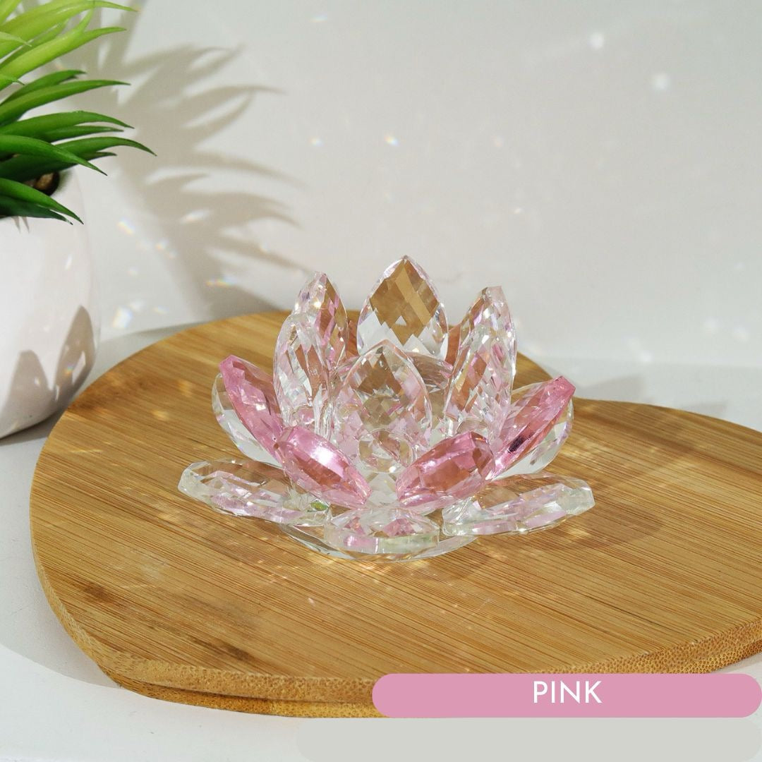 Lotus Prism Blooms