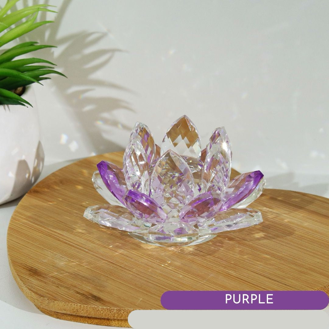Lotus Prism Blooms