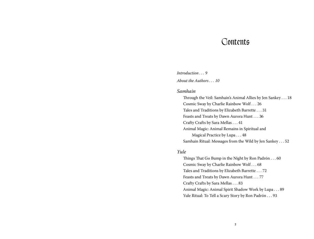 A scanned book or booklet page showing the Contents section with chapter and section headings and page numbers on a white page.