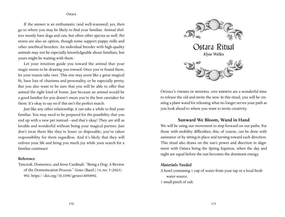 A printed informational page titled 'Ostarra' with text blocks, small illustrations, and a small 'Ostarra Ritual' logo. The page is mostly white with black text and a few line drawings, including a dog and a bowl of water.