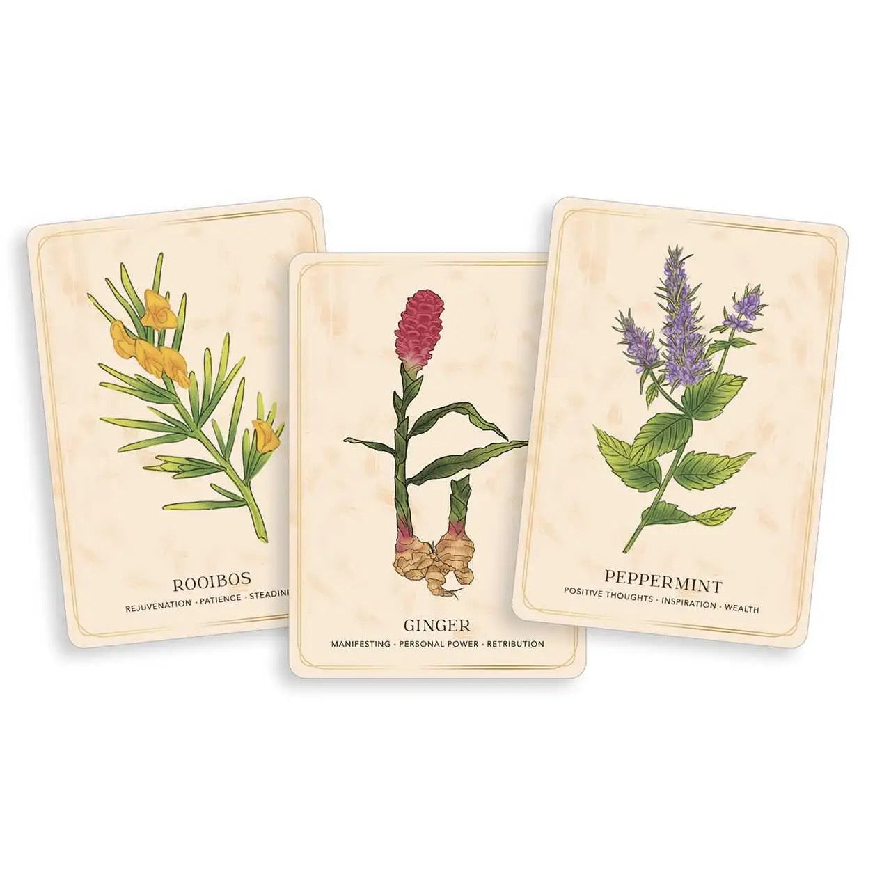 Herbal Tea Magic For the Modern Witch Oracle Deck rooibos, ginger, peppermint