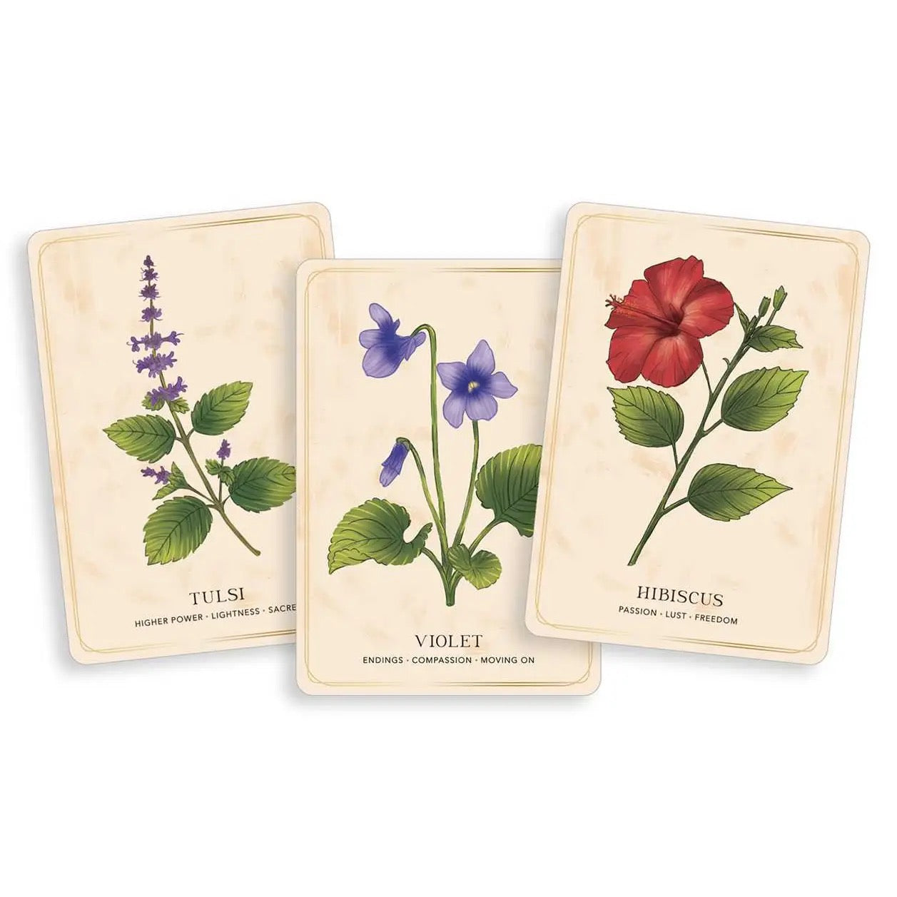 Herbal Tea Magic For the Modern Witch Oracle Deck tulsi, violet, hibiscus 