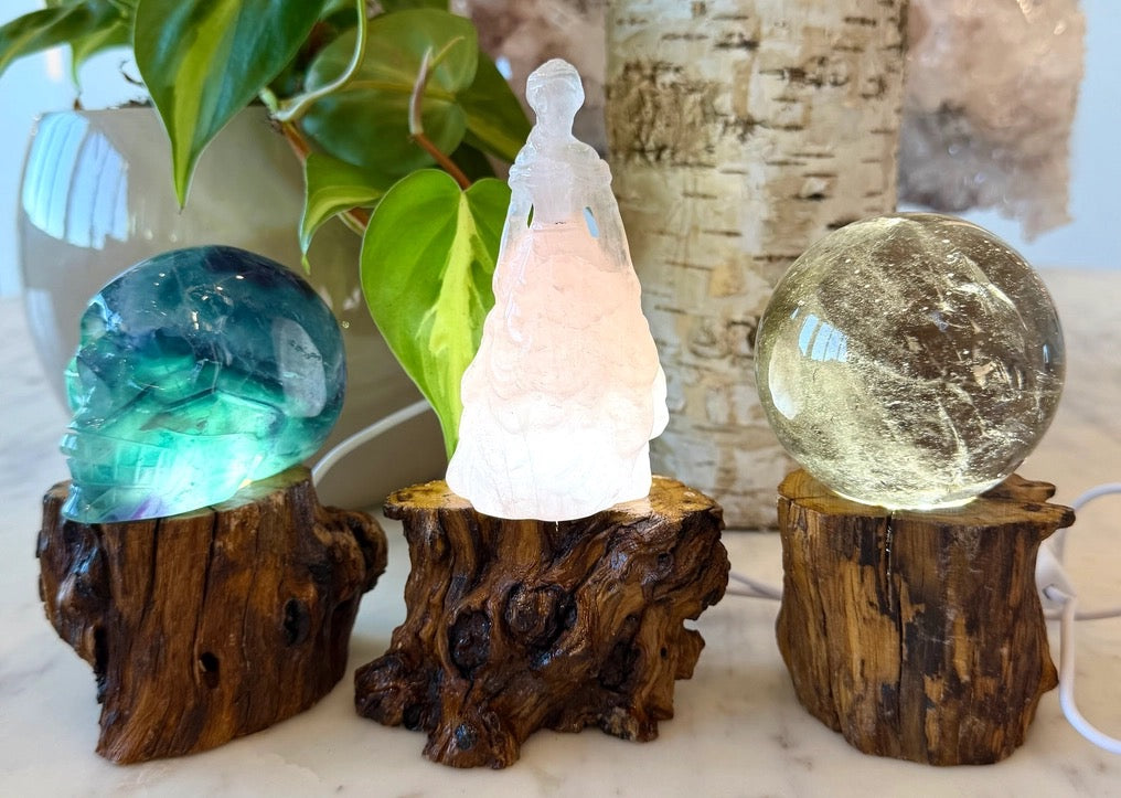 Three decorative lamps on wooden bases with a plant and vase in the background.
