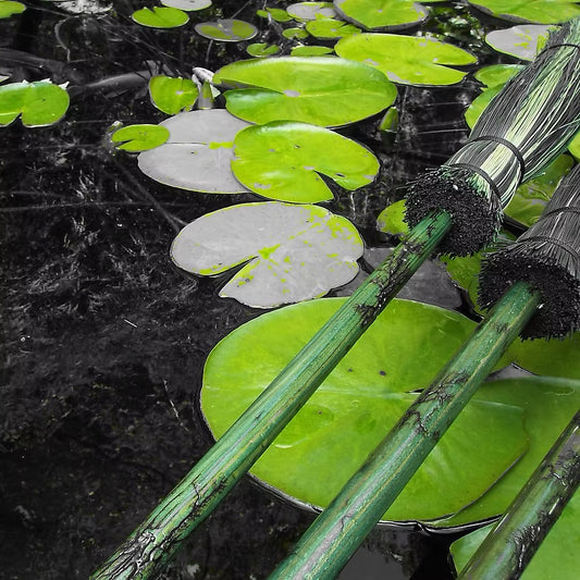 Pond with lily pads and a green garden Three Brooms