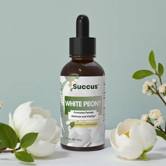 Brown dropper bottle Tincture White Peony Root on a grey background.