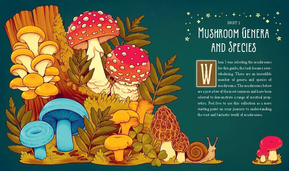 Illustration of various mushrooms with a snail on a green background