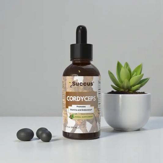 Tincture Cordyceps