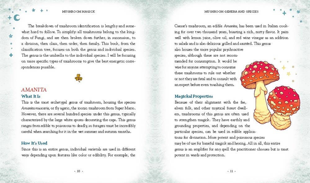 Book page with text about mushrooms and illustrations of mushrooms on a light gray background