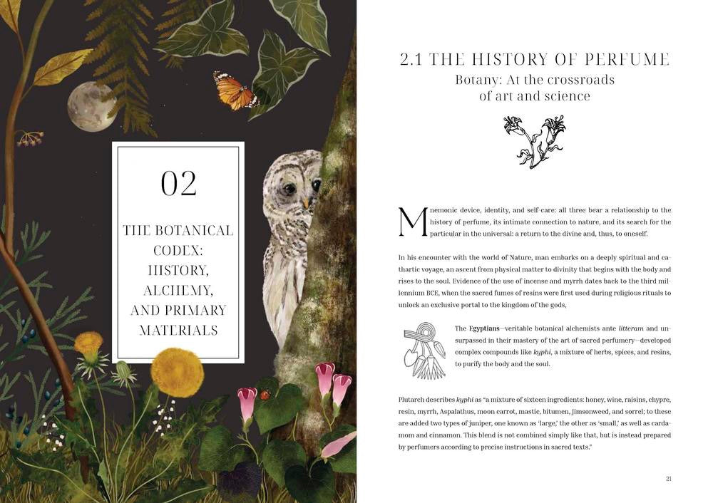 Olfactory Code Book page The history of Perfume
