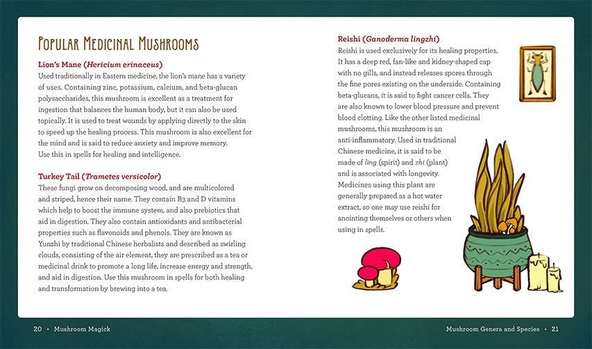 Page from a book about medicinal mushrooms with text and illustrations.