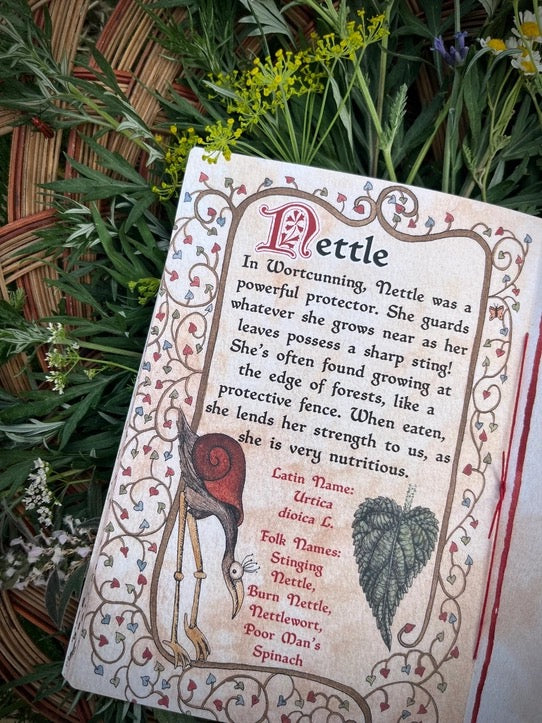 A decorative printed card or booklet page titled 'Bettle' with illustrated text, shown resting on green leaves and yellow wildflowers over a wicker basket.