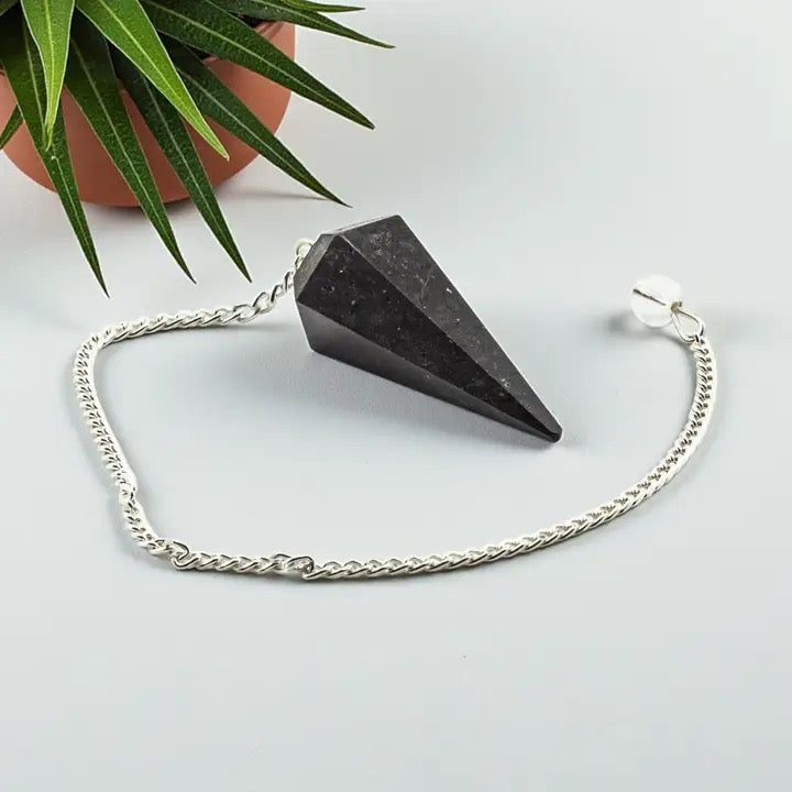 Black stone pendulum on a silver chain with a plant in the background