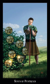Person standing in a field with seven pentacle symbols around them, under a blue sky.