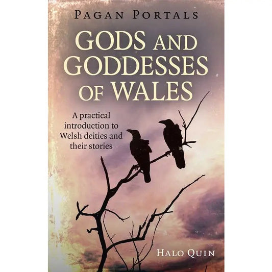 Book cover of 'Gods and Goddesses of Wales' with silhouette of birds on a branch.