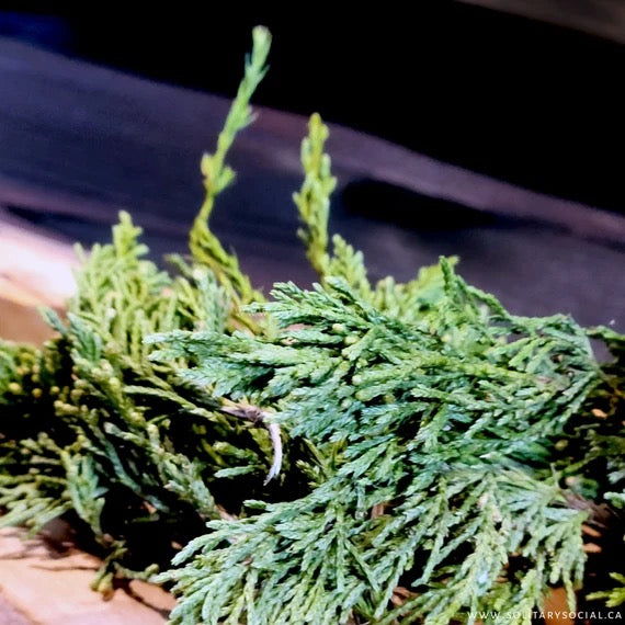 Juniper Leaf Wildcrafted Whole Green