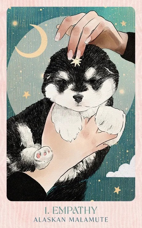 Illustration of a person petting an Alaskan Malamute with a hand on its head against a starry night sky.