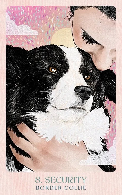 Illustration of a person hugging a Border Collie with a pink background