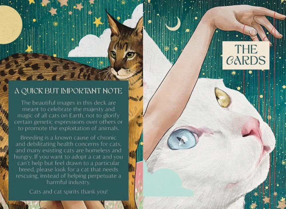 Two cat illustrations with text on a decorative background