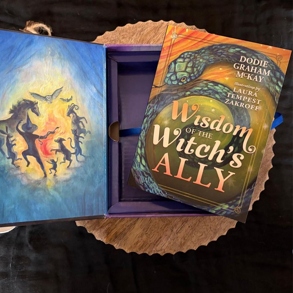 Book titled 'Wisdom of the Witch's Ally' by Dodie Graham McKay with colorful cover design.