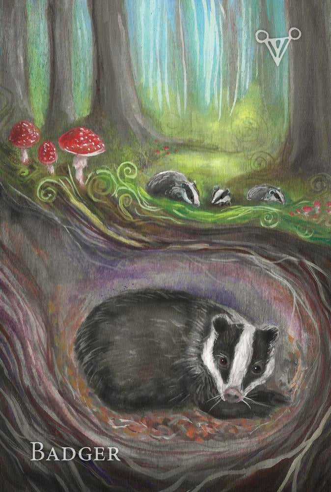 Illustration of a badger in a forest setting with mushrooms and stones.