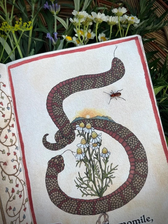 An open vintage-style book or journal page featuring an illustrated snake wrapping around white and yellow flowers, photographed outdoors among green leaves and small wildflowers.