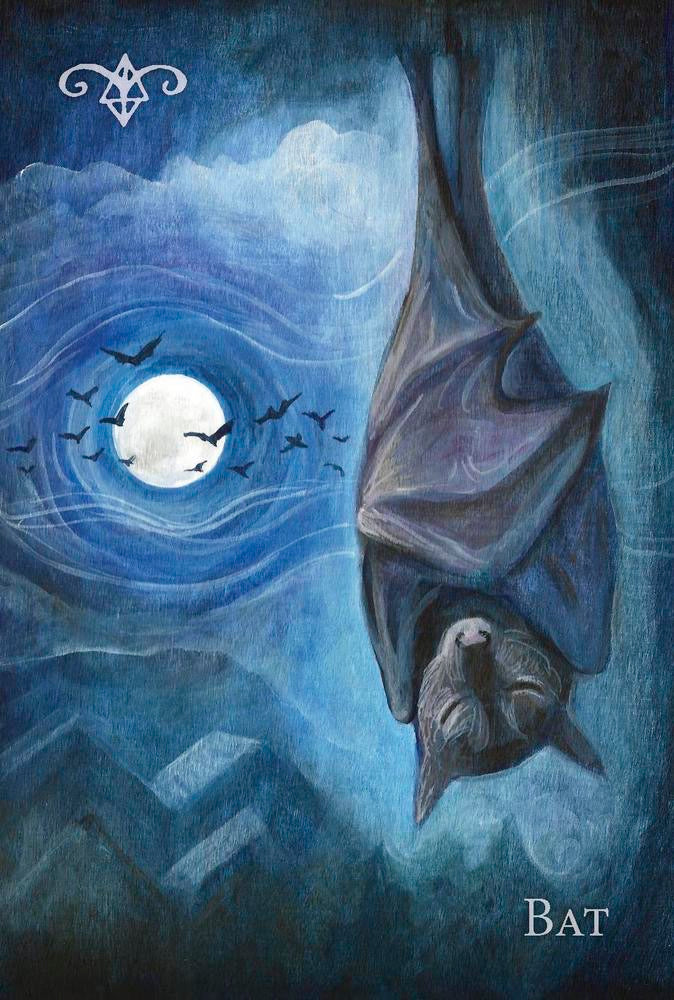 Bat hanging from a cave entrance with a full moon and other bats in the sky.
