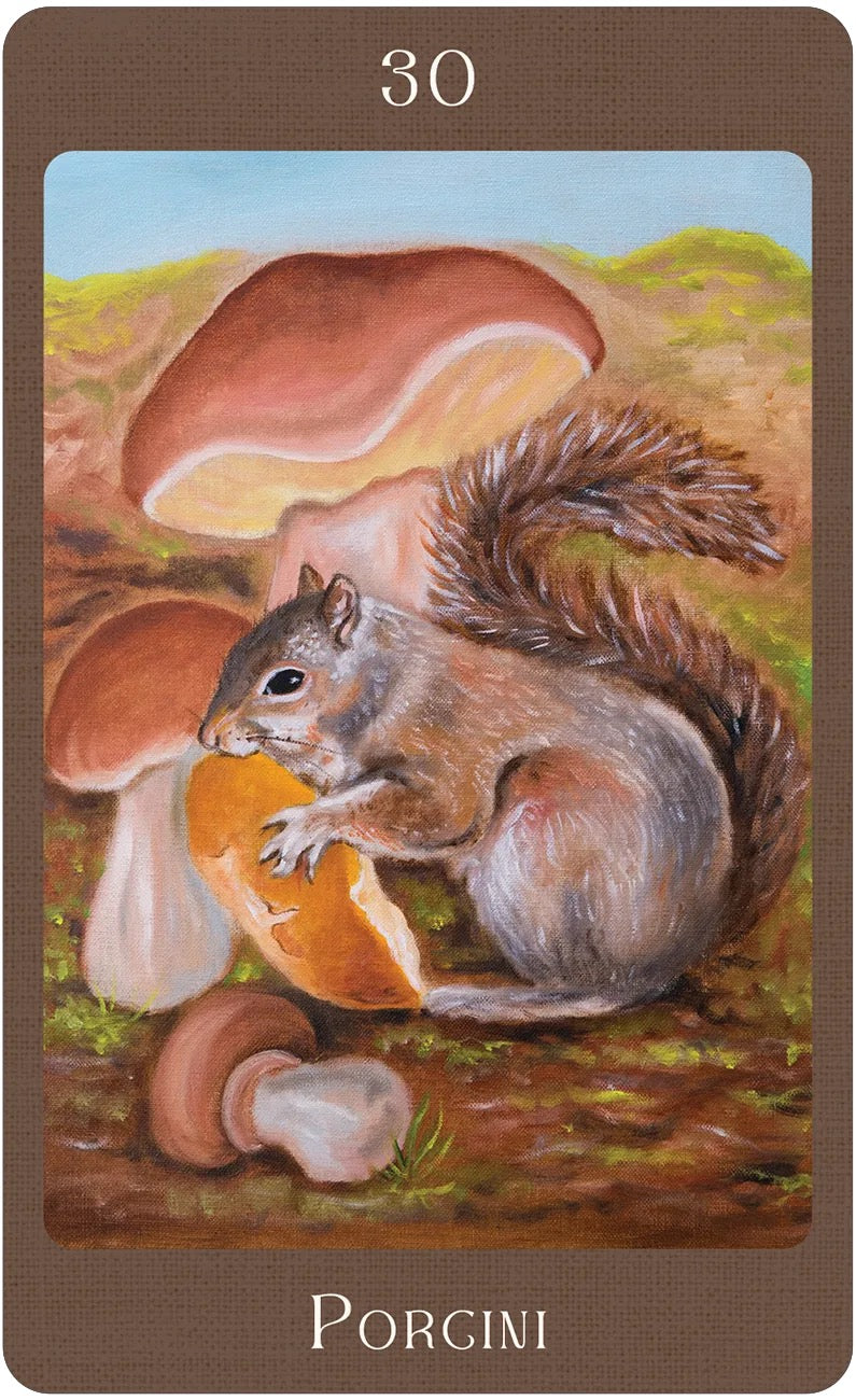 Card featuring a squirrel with an orange and mushrooms, labeled 'Porgini' on a brown border.