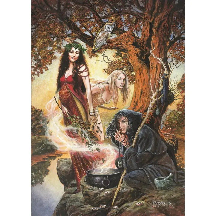 Fantasy art card depicting a woman in a red gown casting a spell with a cauldron, another woman floating above, a hooded figure kneeling by the fire, and an owl perched on a tree branch in an enchanted forest.