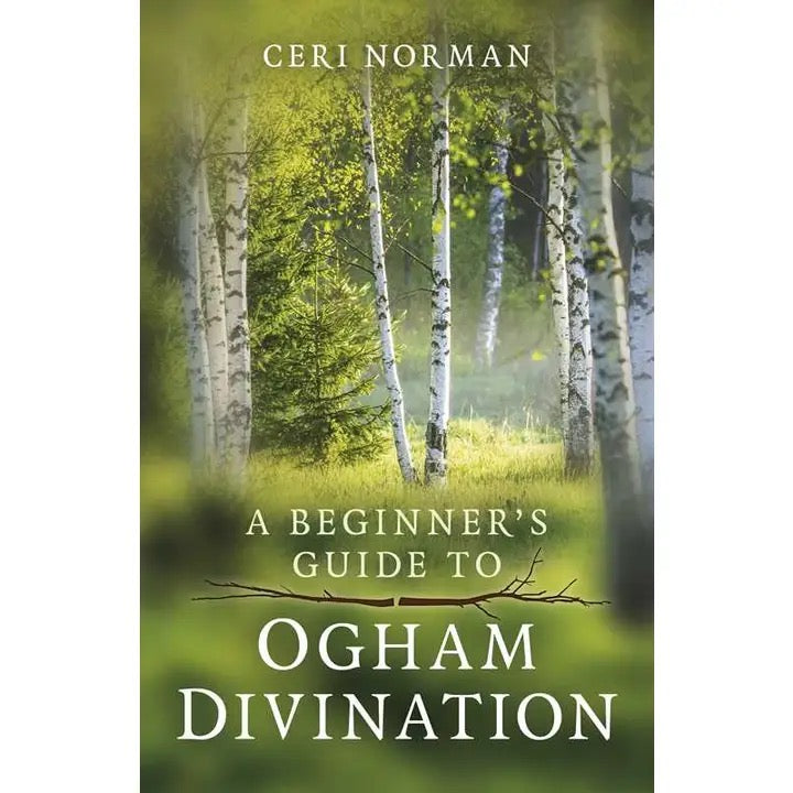 A Beginners guide to Ogham Divination book cover