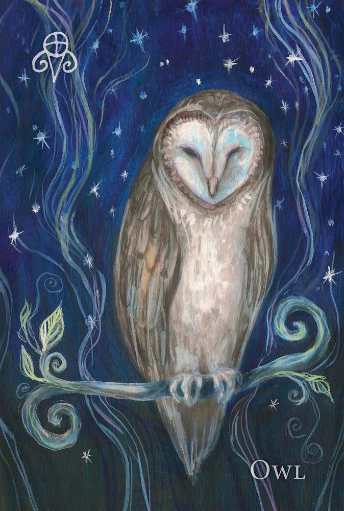 Painting of an owl on a branch with a starry night background