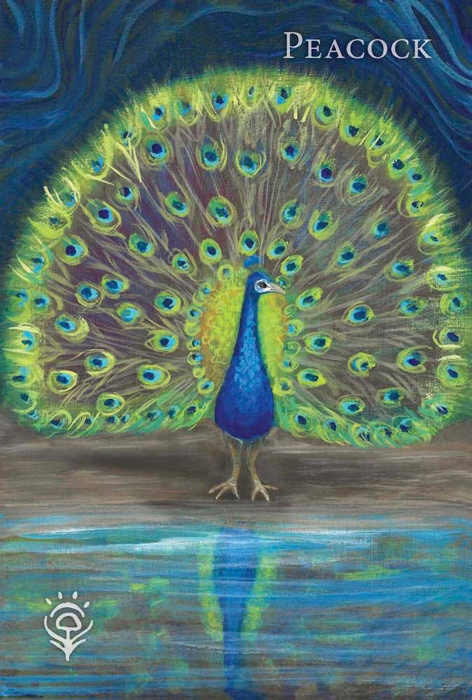 Artistic depiction of a peacock with its tail feathers spread wide, set against a dark background.
