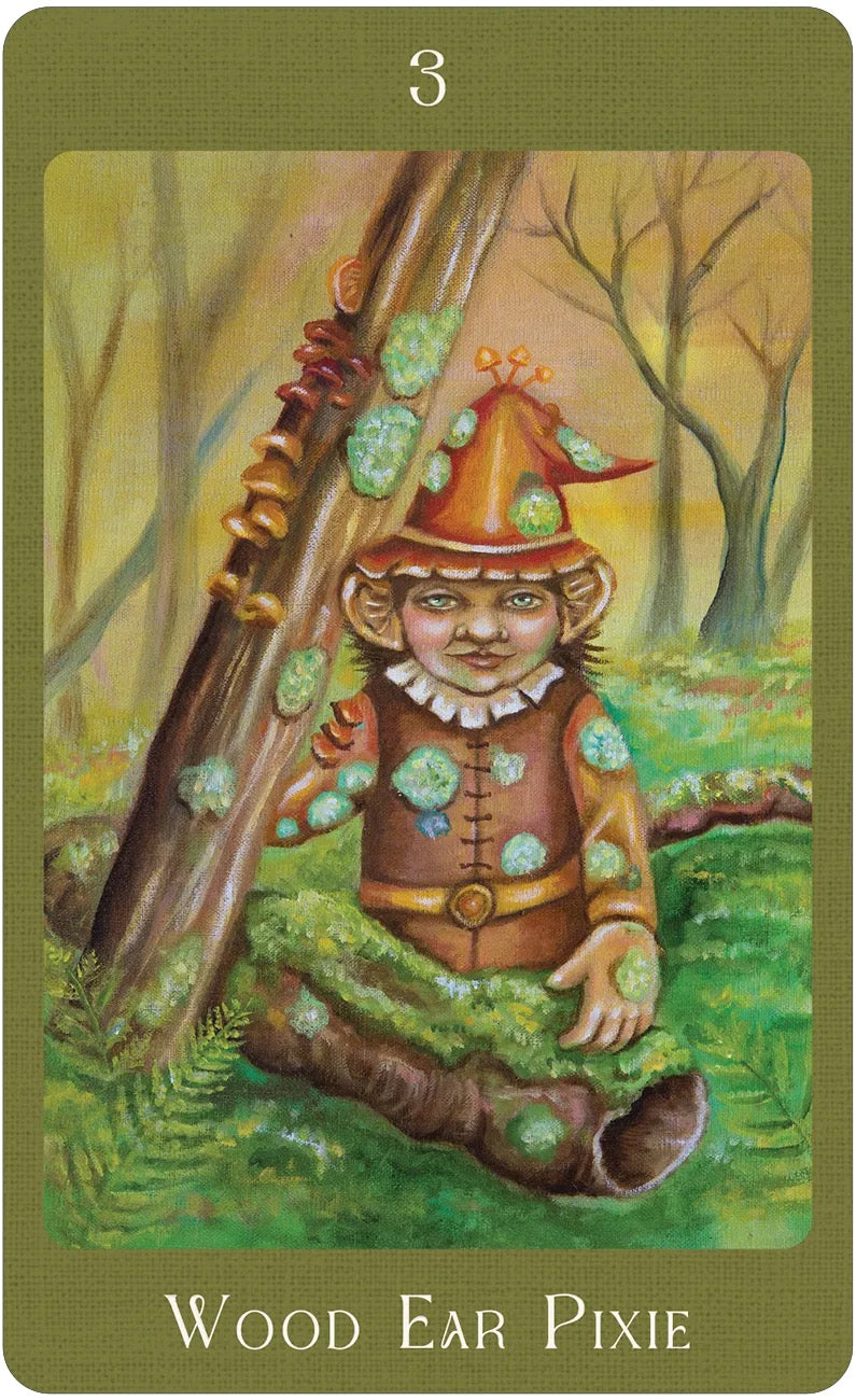 Card featuring a Wood Ear Pixie with a forest background