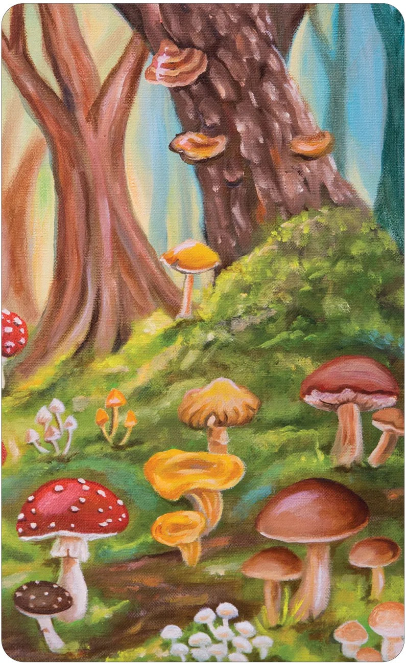 Back of Card Illustration of mushrooms in a forest setting with a tree and green grass.
