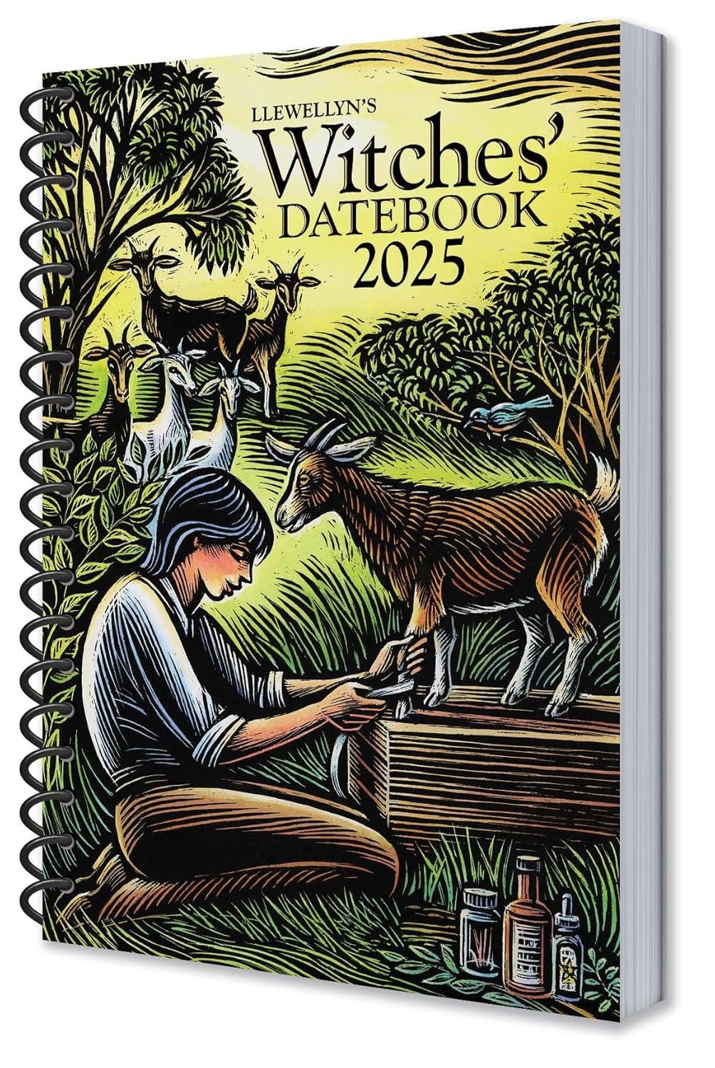 Image of the front of the datebook