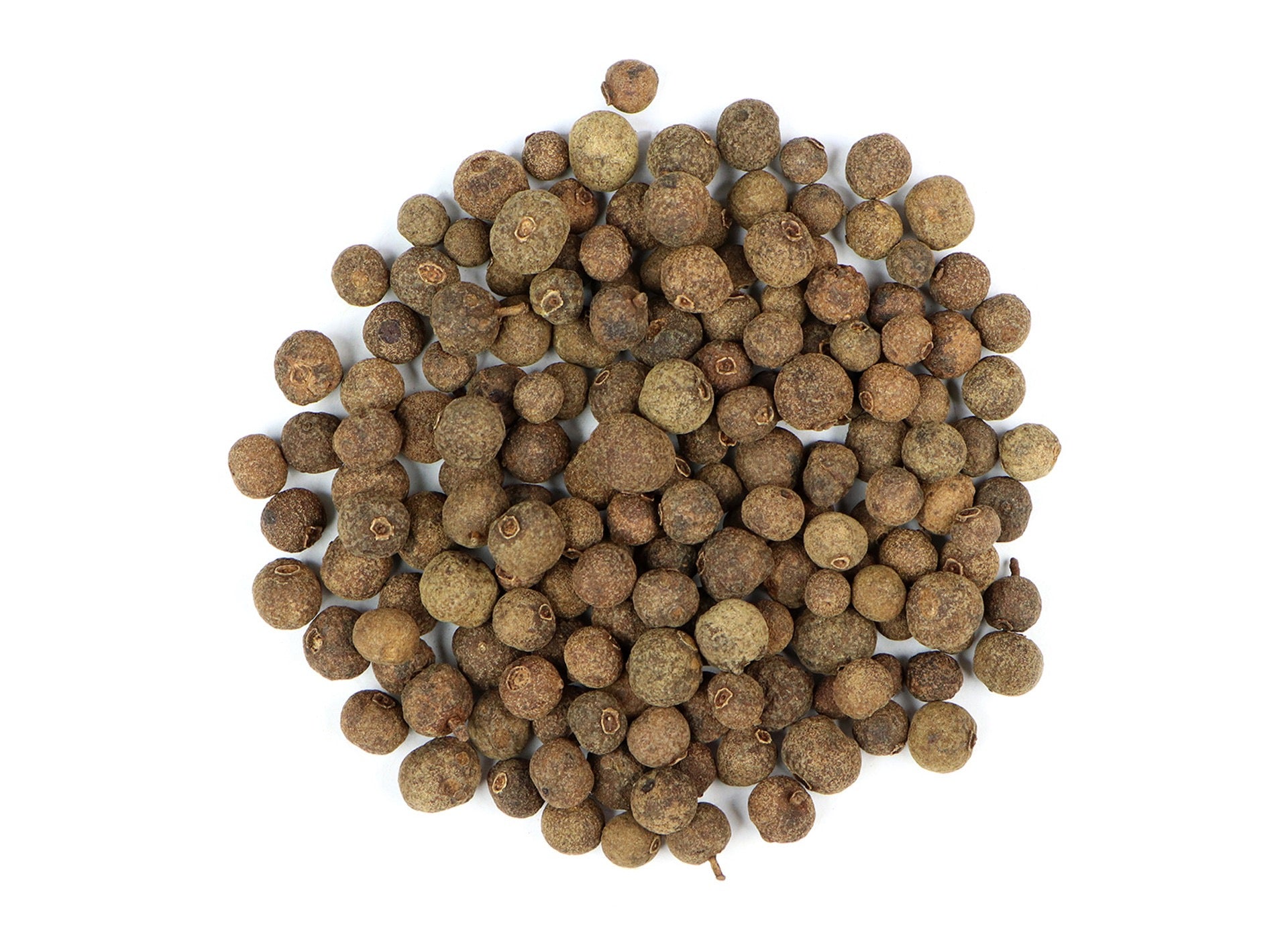 Allspice Berry Whole