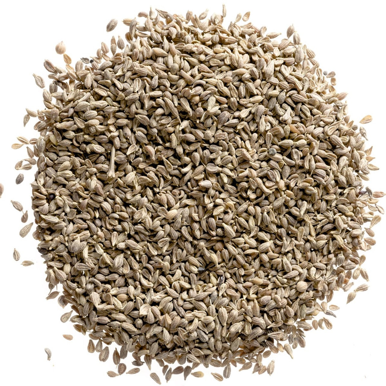 Anise Seed Whole