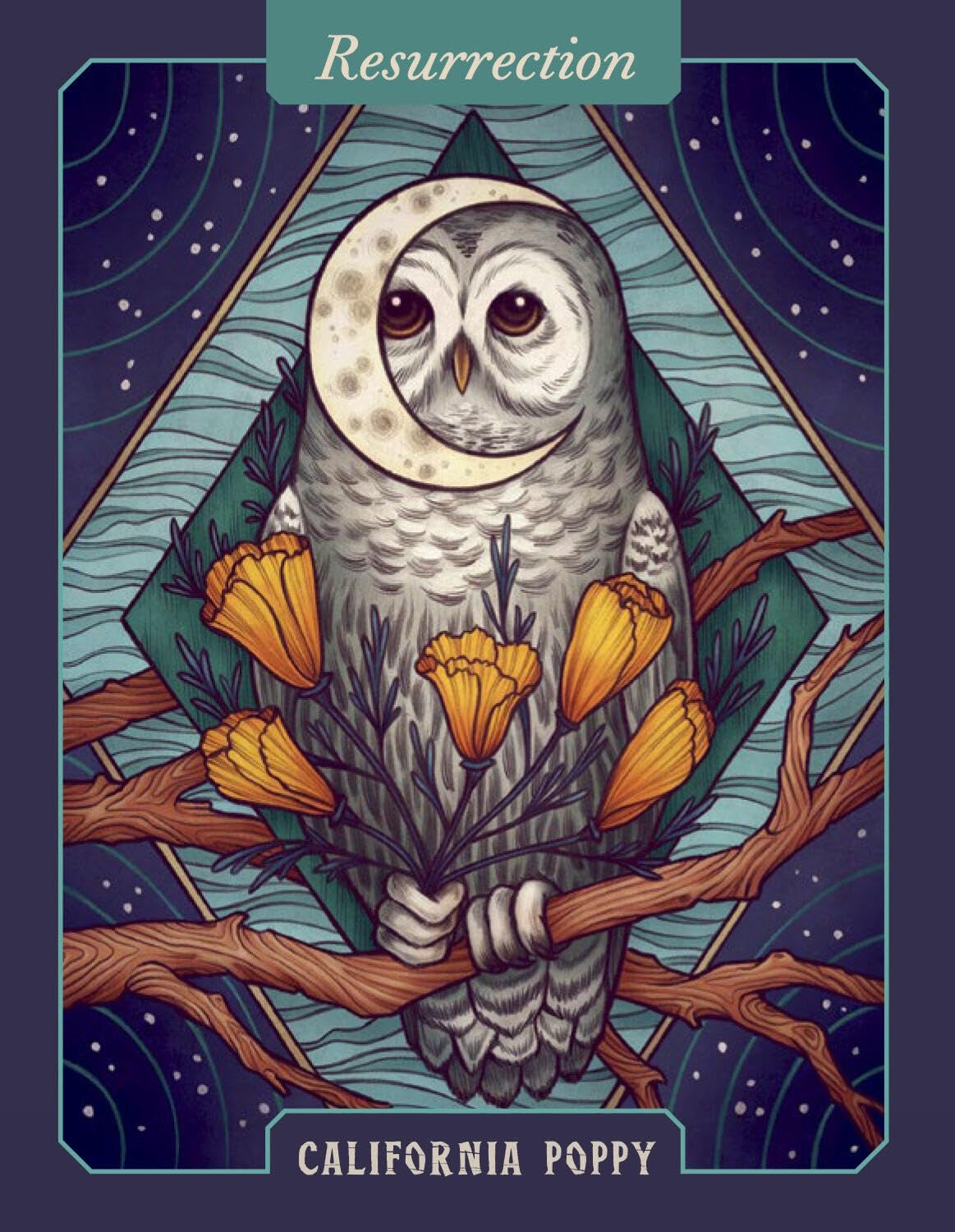 Illustration of an owl with California poppies on a starry night background, titled 'Resurrection'.