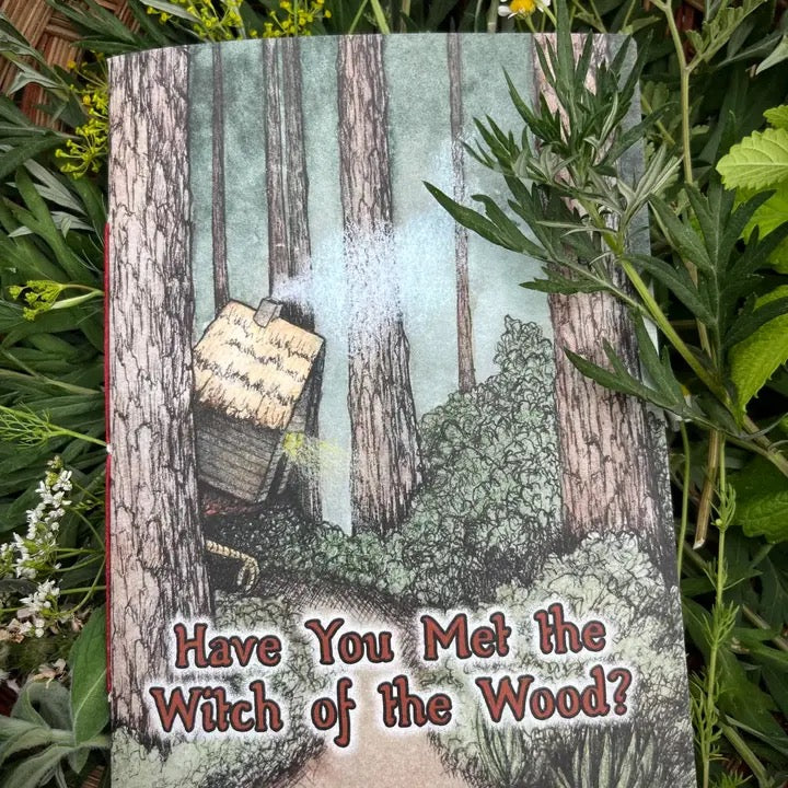 A book titled 'Have You Met the Witch of the Wood?' lying flat on green foliage. The cover features an illustration of a small wooden cottage nestled among tall trees in a forest.