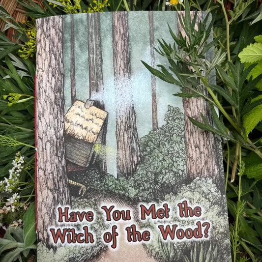 A book titled 'Have You Met the Witch of the Wood?' lying flat on green foliage. The cover features an illustration of a small wooden cottage nestled among tall trees in a forest.