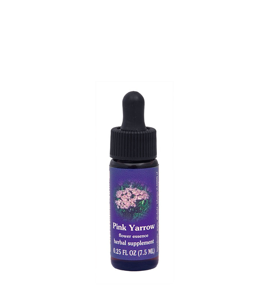 Bottle of Pink Yarrow flower essence on a white background