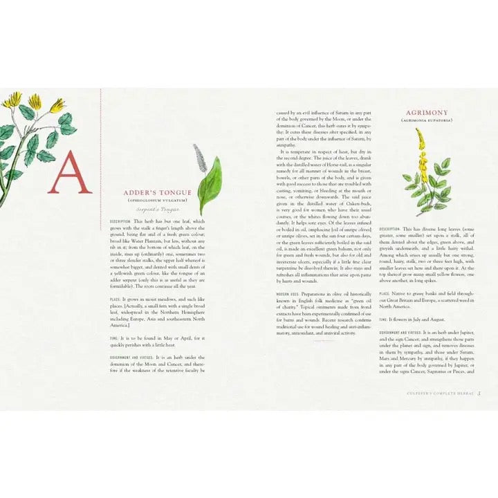 An open book spread showing botanical illustrations, a large letter A, and text sections titled 'Adder's Tongue' and 'Agrimony' on a white page.
