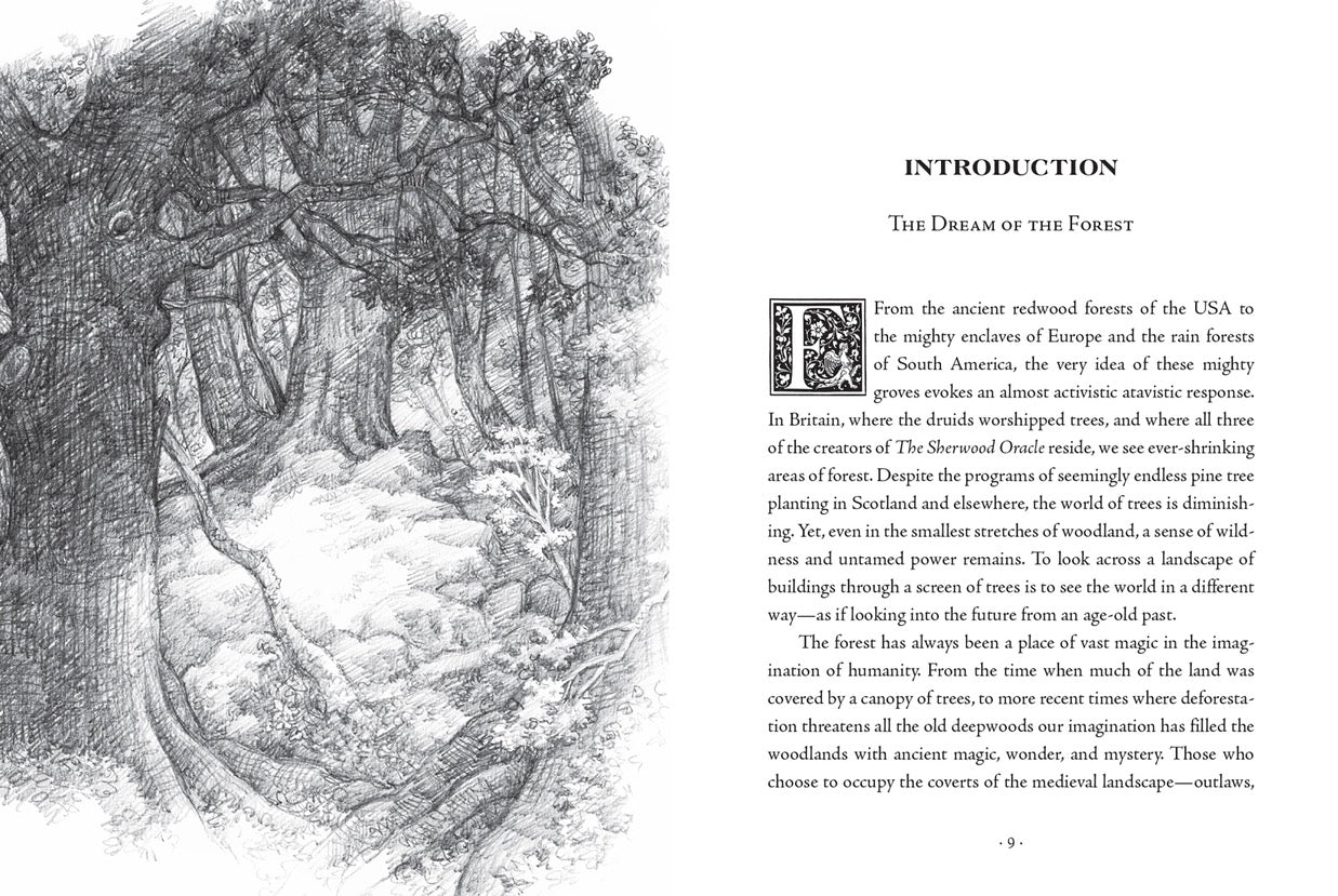 Illustration of a forest scene with text on the right side.