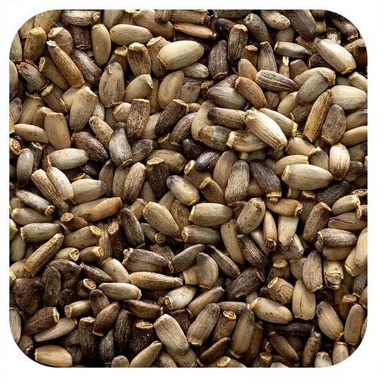 Milk Thistle Seed Whole brown