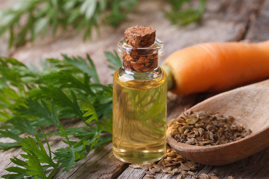Carrot Seed Essential Oil