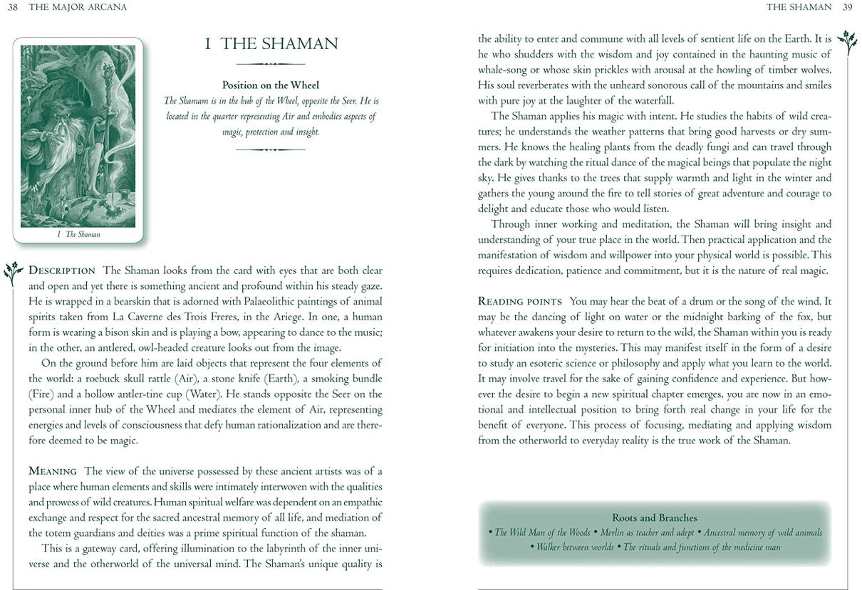 Page from a book or magazine featuring text and illustrations related to 'The Shaman' card from a tarot deck.
